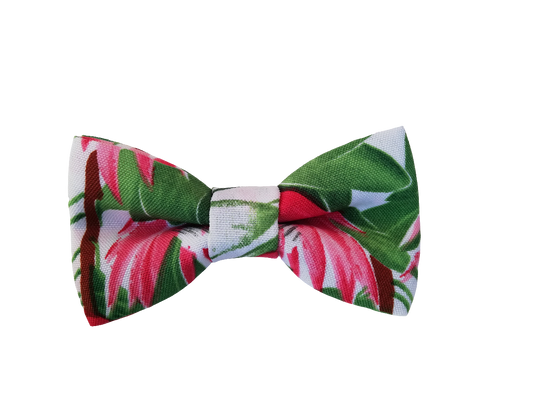 Handcrafted Protea Floral Bow Tie