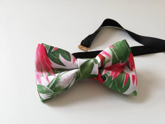 polka.dot.coco protea colour themed bow tie